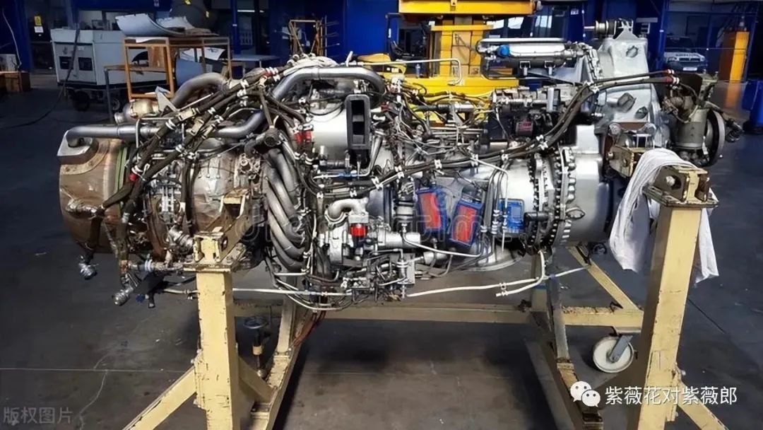 202311051716276830.jpg 202311051716276830.jpg